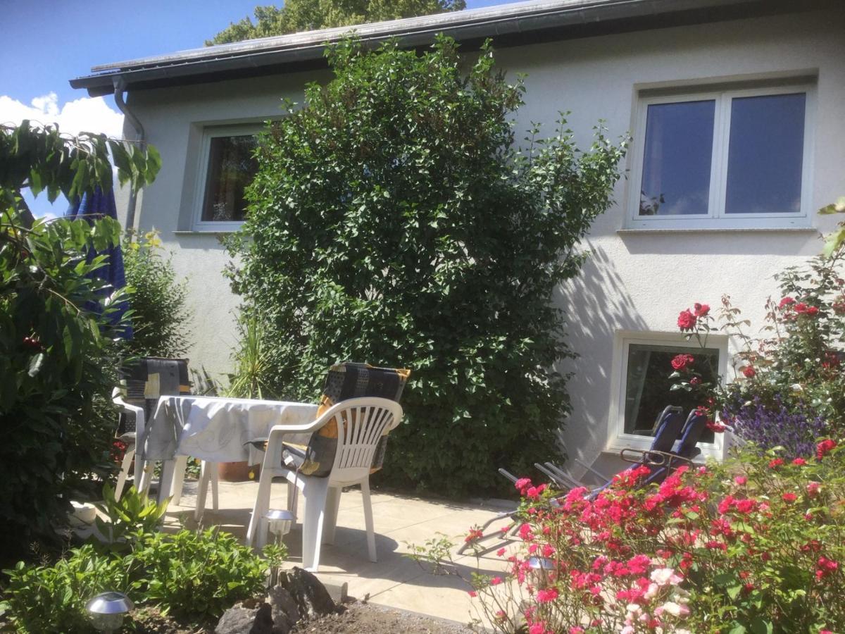Ferienhaus Moock Horn-Bad Meinberg Exteriör bild